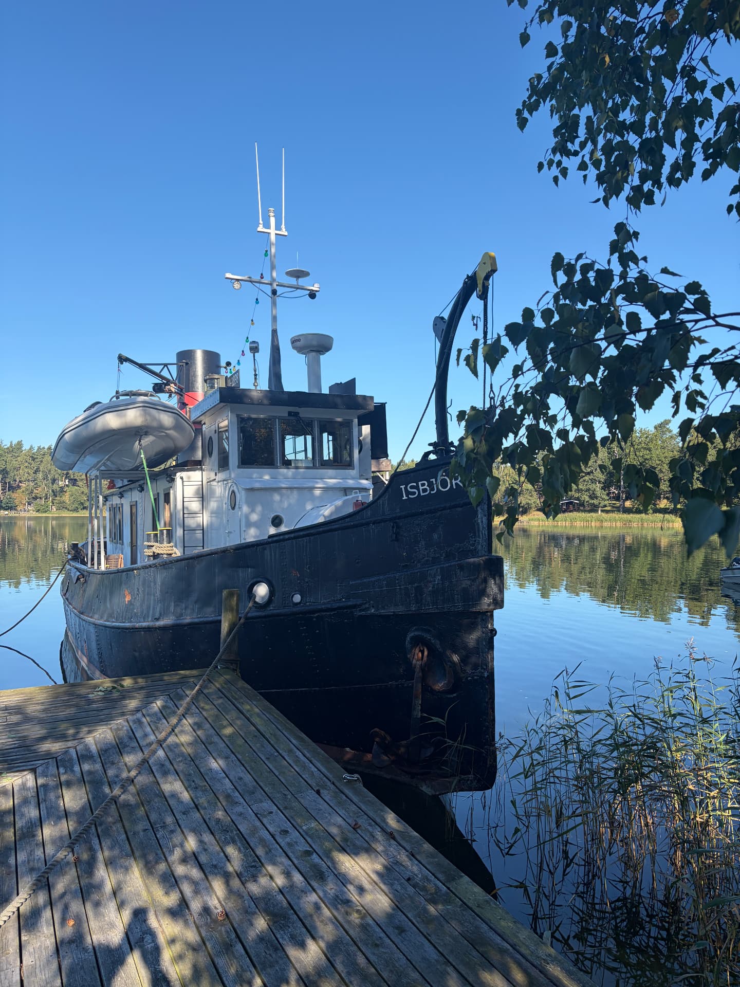 Isbjörn at a wooden pier on a calm summer day